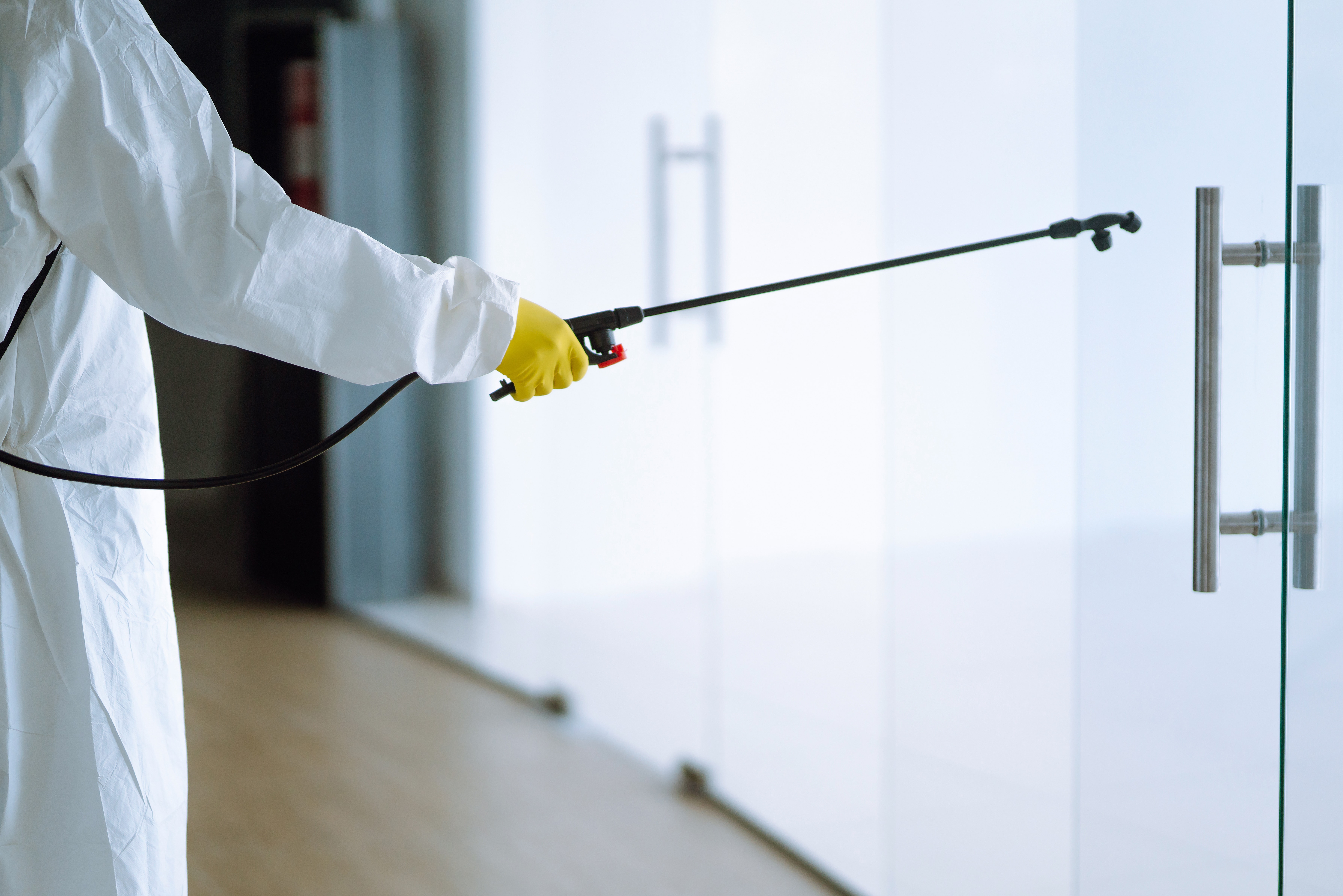How Do Professionals Manage Pests Without Disrupting My Business?