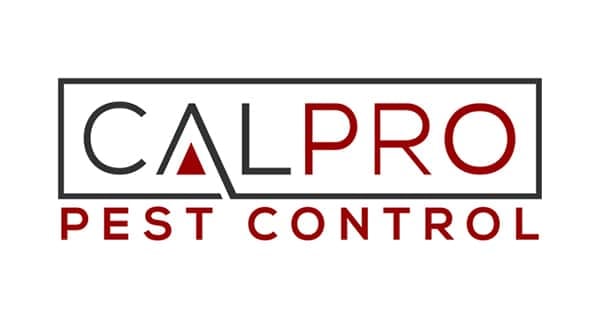 Pest Control Service in Loomis